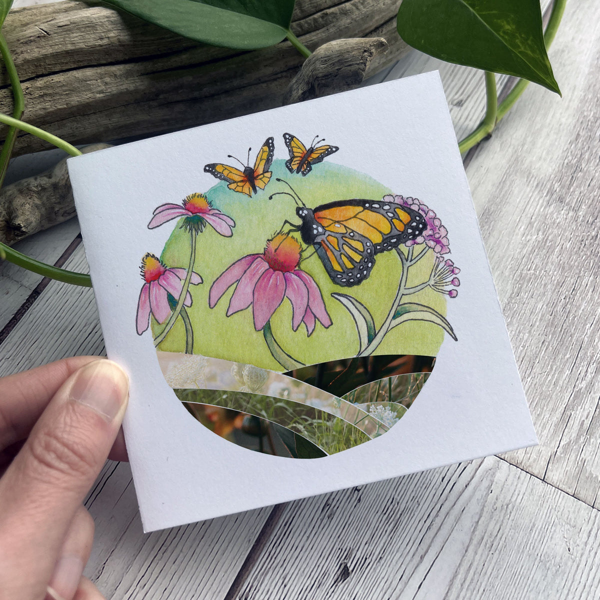 Note Card Set - 4 square size - Monarchs and Wildflowers – Found and Lost  Art