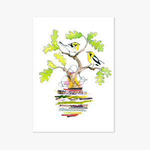 12x16 Art Print - Songbird Series - Yellow Throated Warblers
