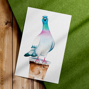 4x6 Art Print - "Buzzed" - Pigeon on Iced Coffee