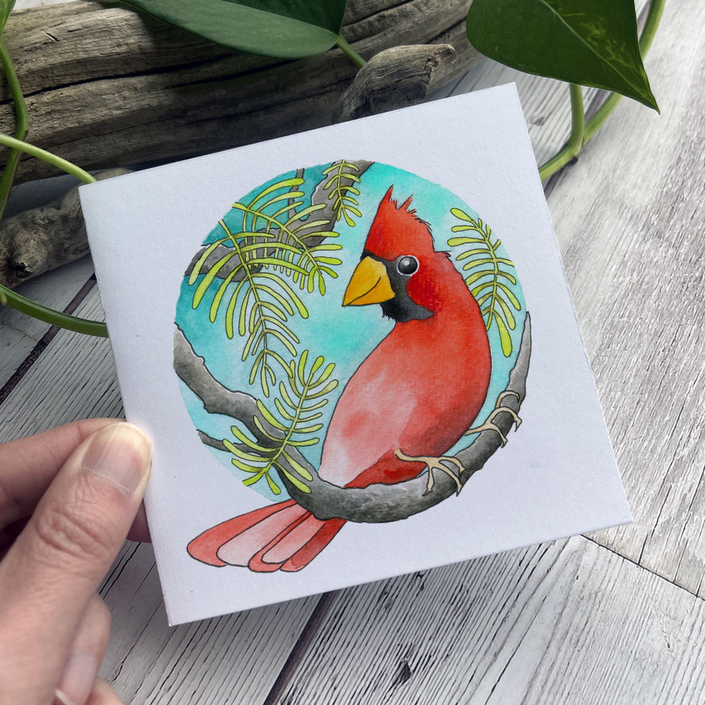 Note Card Set - 4" square size - Cardinal